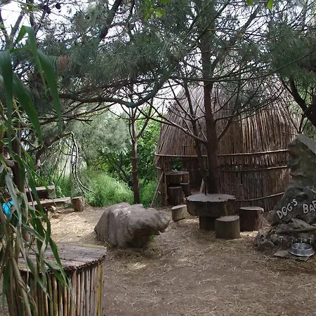 Apartmán Olive Medulin